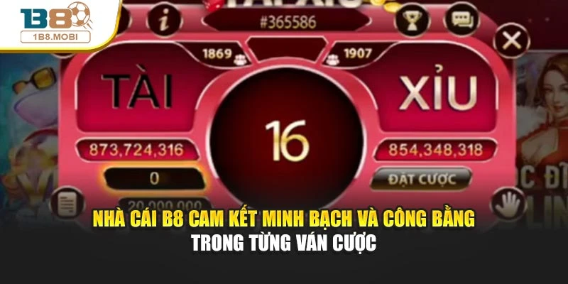 Nhà cái B8 cam kết minh bạch và công bằng trong từng ván cược